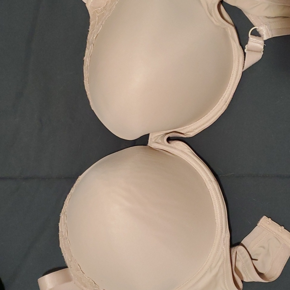 Secret Treasures Bra